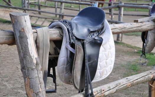 Reitanlage mit Olympischer Reithalle und Stellboxen für Pferde in Ostwestfalen Lippe zu verkaufen